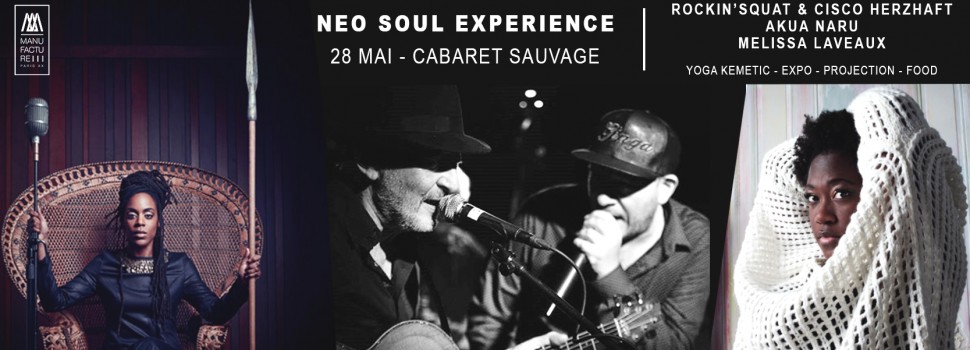 Festival-neo-soul-experience